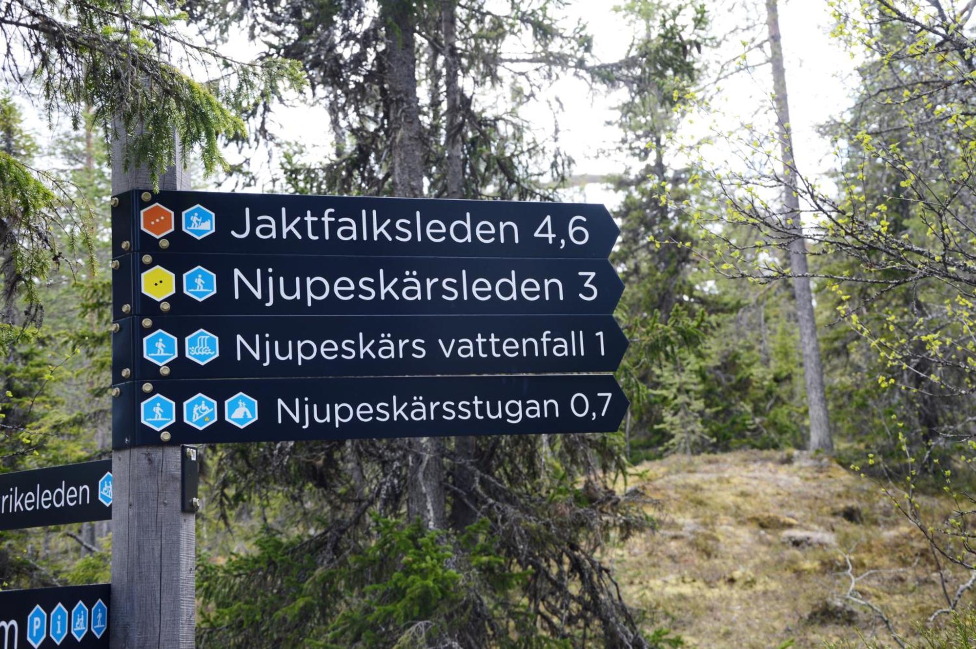 16 - Fulufjellets Nasjonalparker - Natur-, Dyre- Og Fugleopplevelser Ljordal Екстер'єр фото