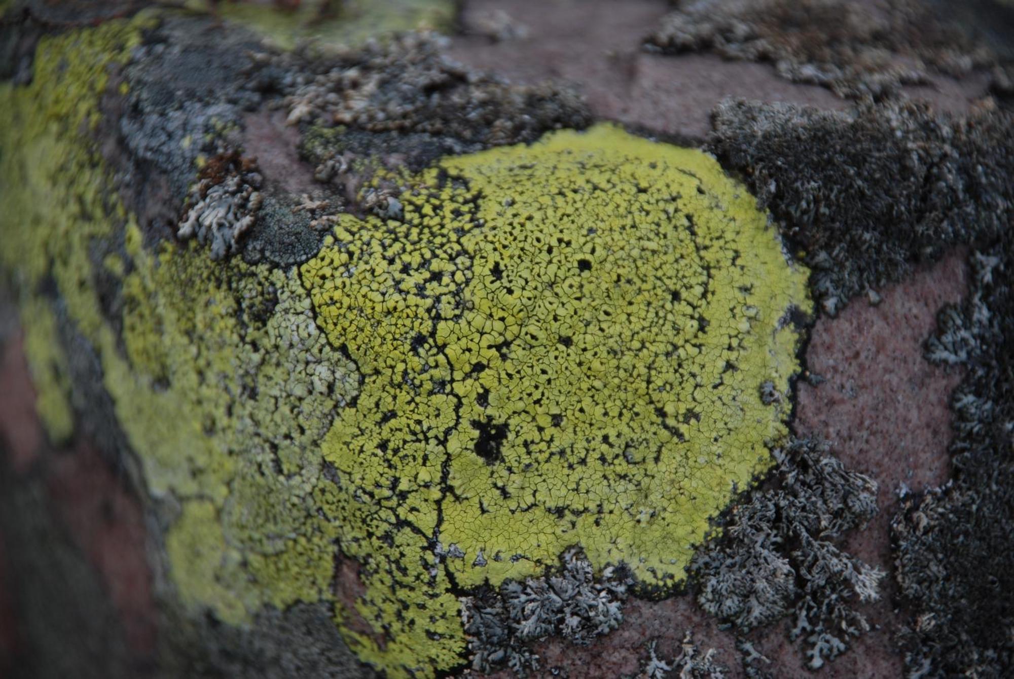 16 - Fulufjellets Nasjonalparker - Natur-, Dyre- Og Fugleopplevelser Ljordal Екстер'єр фото