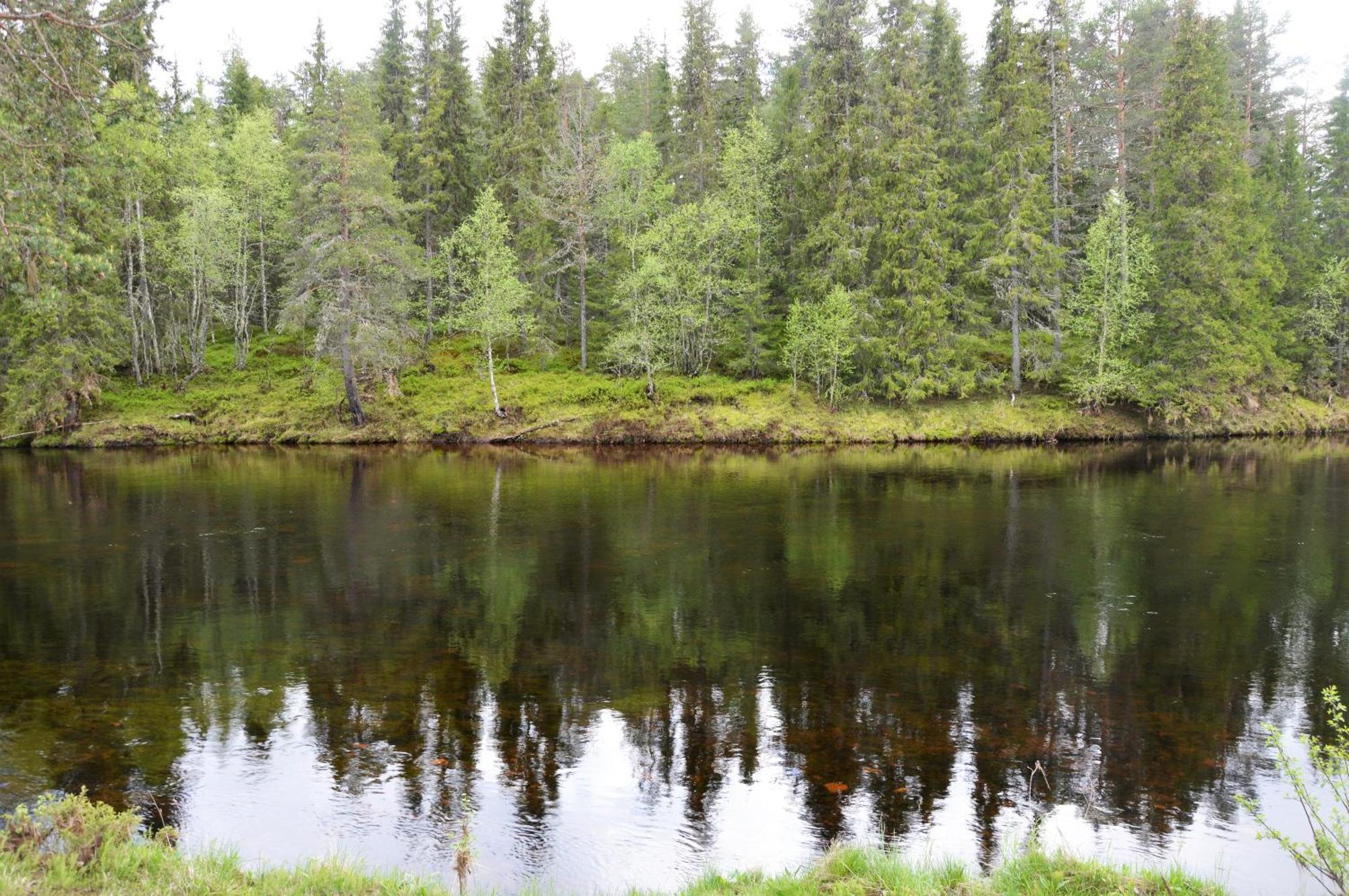 16 - Fulufjellets Nasjonalparker - Natur-, Dyre- Og Fugleopplevelser Ljordal Екстер'єр фото