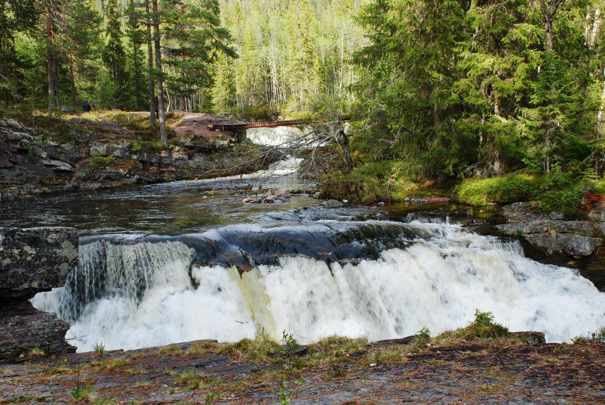 16 - Fulufjellets Nasjonalparker - Natur-, Dyre- Og Fugleopplevelser Ljordal Екстер'єр фото