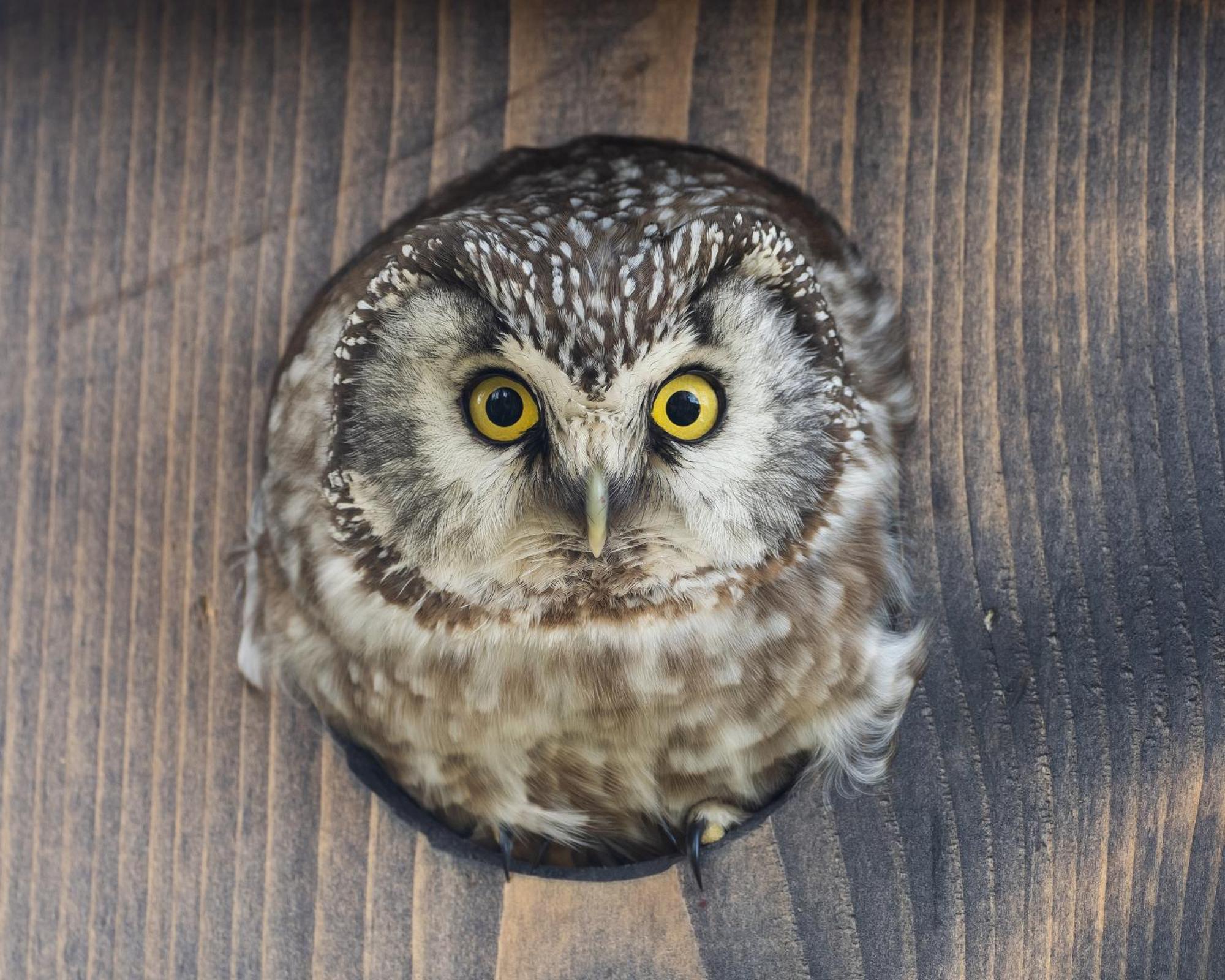 16 - Fulufjellets Nasjonalparker - Natur-, Dyre- Og Fugleopplevelser Ljordal Екстер'єр фото
